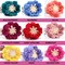 Dog Collar Flower - Hand Crochet Accessory - Hand Crocheted Dog Collar Flower - Special Occasion Party Wedding Dog Flower - Removable product 3